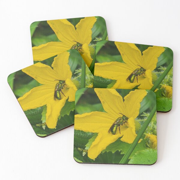 Item preview, The Pollinator  designed and sold by TheGardenCoop.