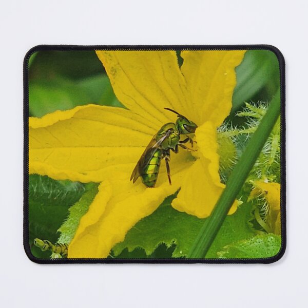 Item preview, The Pollinator  designed and sold by TheGardenCoop.