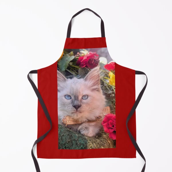 Item preview, Ragdoll Mainecoon kitten designed and sold by Fluffycat2020.