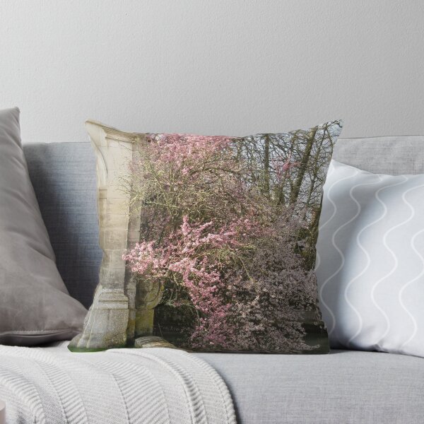 Item preview, Château de Tanlay designed and sold by johnep.