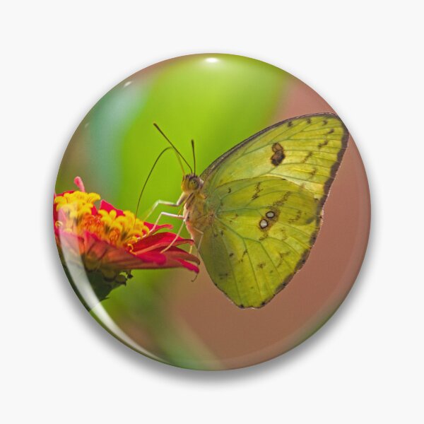 Item preview, sla yellow butterfly designed and sold by pcfyi.