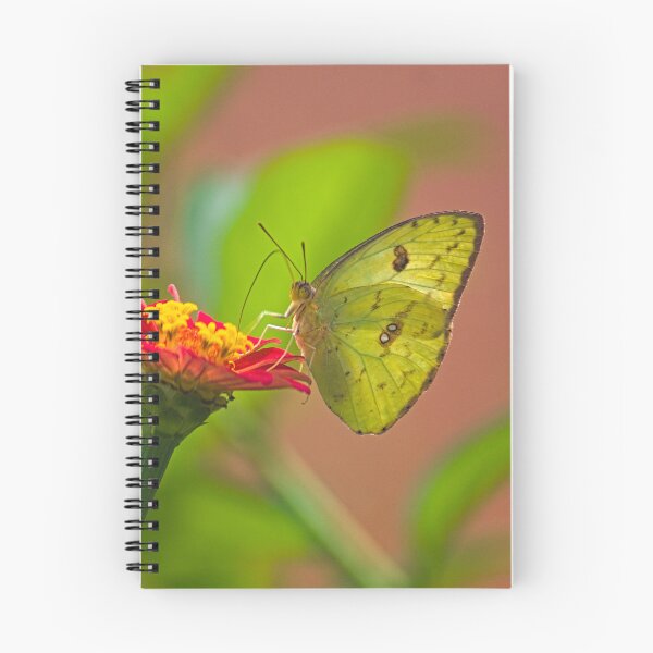 Item preview, sla yellow butterfly designed and sold by pcfyi.