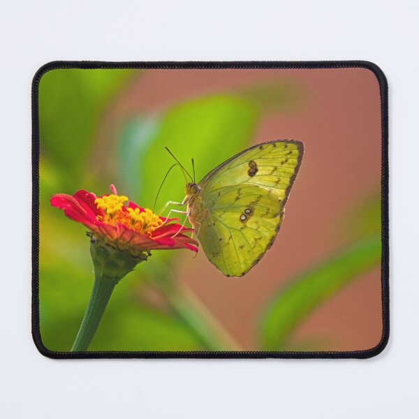 Item preview, sla yellow butterfly designed and sold by pcfyi.