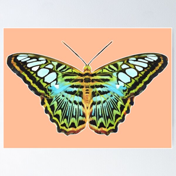 Item preview, Iridescent Blue Clipper - Natural designed and sold by QS-Publishing.