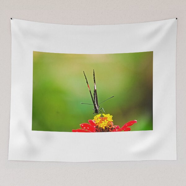 Item preview, sla so thin designed and sold by pcfyi.