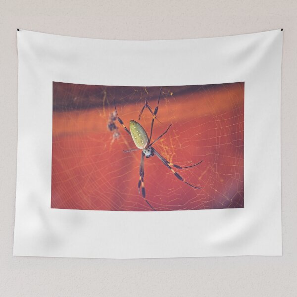 Item preview, sla orb weaver designed and sold by pcfyi.