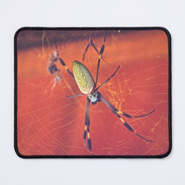 Item preview, sla orb weaver designed and sold by pcfyi.