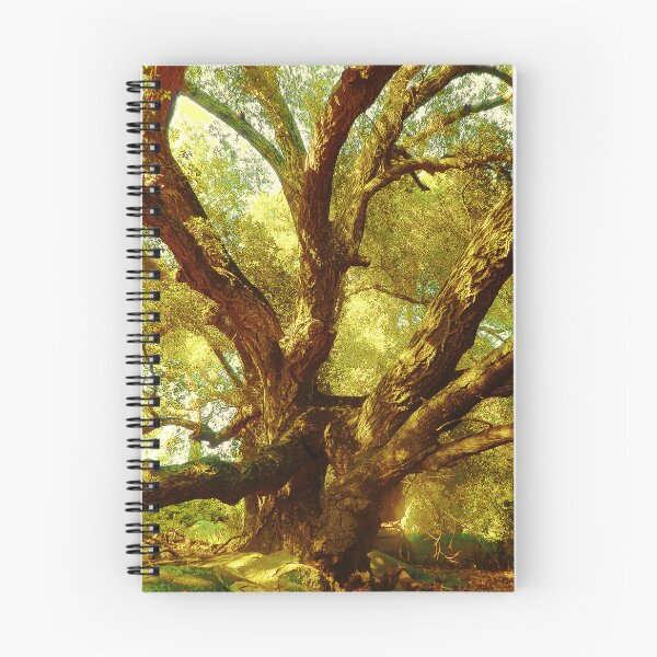Item preview, Tree Magic designed and sold by Robert Ball.