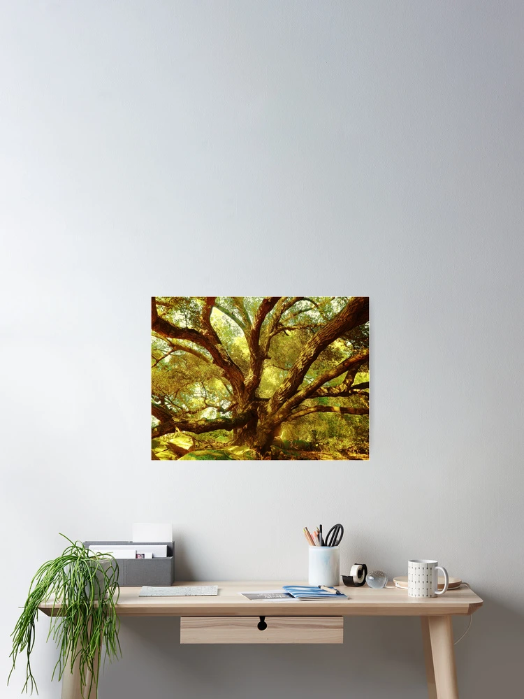 Thumbnail 2 of 3, Poster, Tree Magic designed and sold by Robert Ball.
