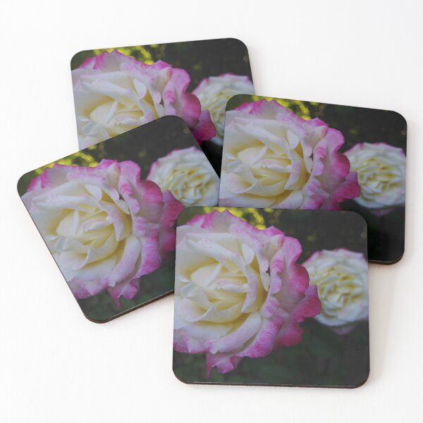 Item preview, Soft Pink Roses designed and sold by amevargo.