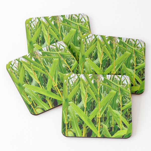 Item preview, Corn Stalks designed and sold by bjtomiko.