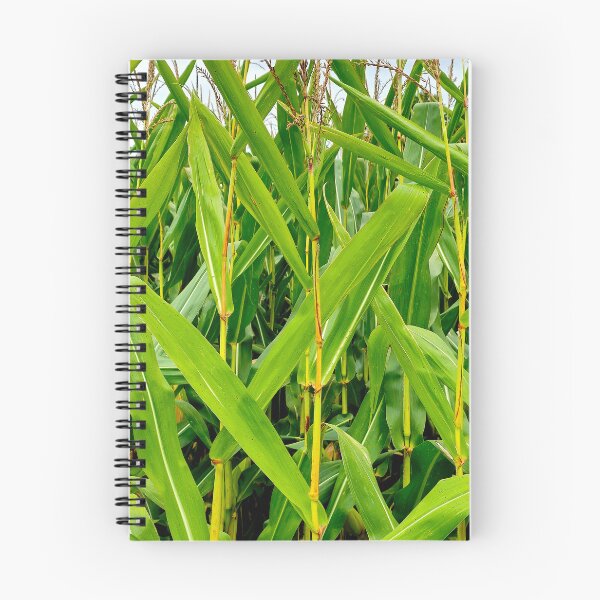 Item preview, Corn Stalks designed and sold by bjtomiko.