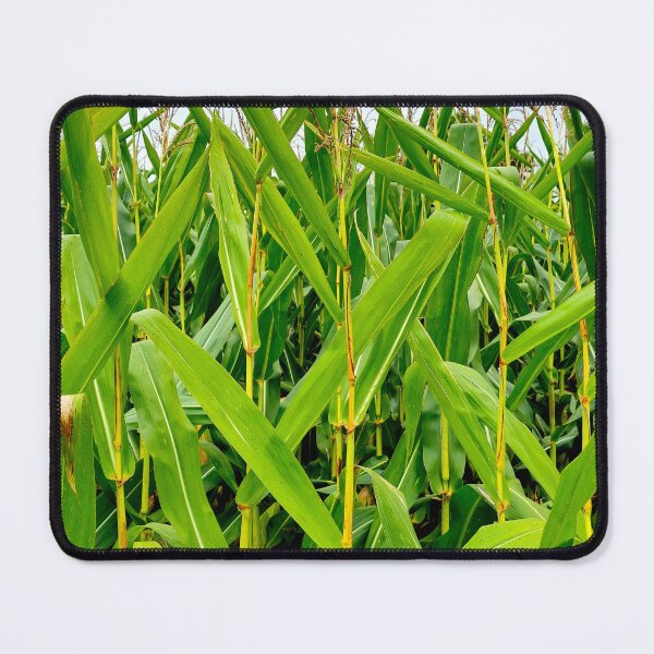Item preview, Corn Stalks designed and sold by bjtomiko.
