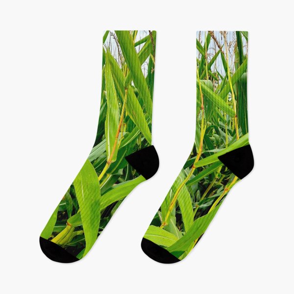 Item preview, Corn Stalks designed and sold by bjtomiko.