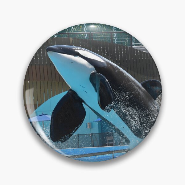 Item preview, Trua orca seaworld designed and sold by Axolotlqueen141.