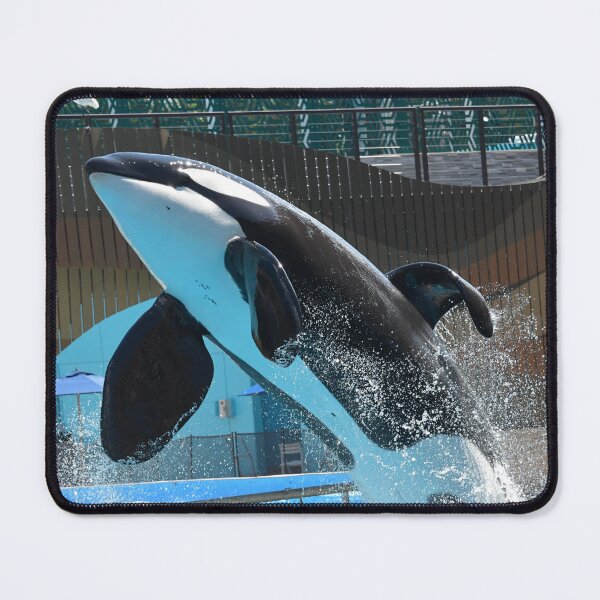 Item preview, Trua orca seaworld designed and sold by Axolotlqueen141.