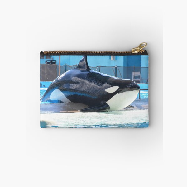 Item preview, Seaworld orca Malia  designed and sold by Axolotlqueen141.