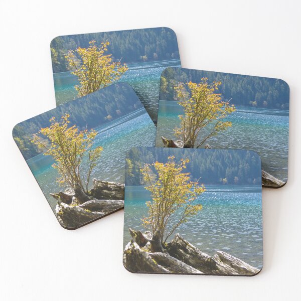 Item preview, NEW TREE FINDS ROOT IN OLD TREE designed and sold by Elaine Bawden.