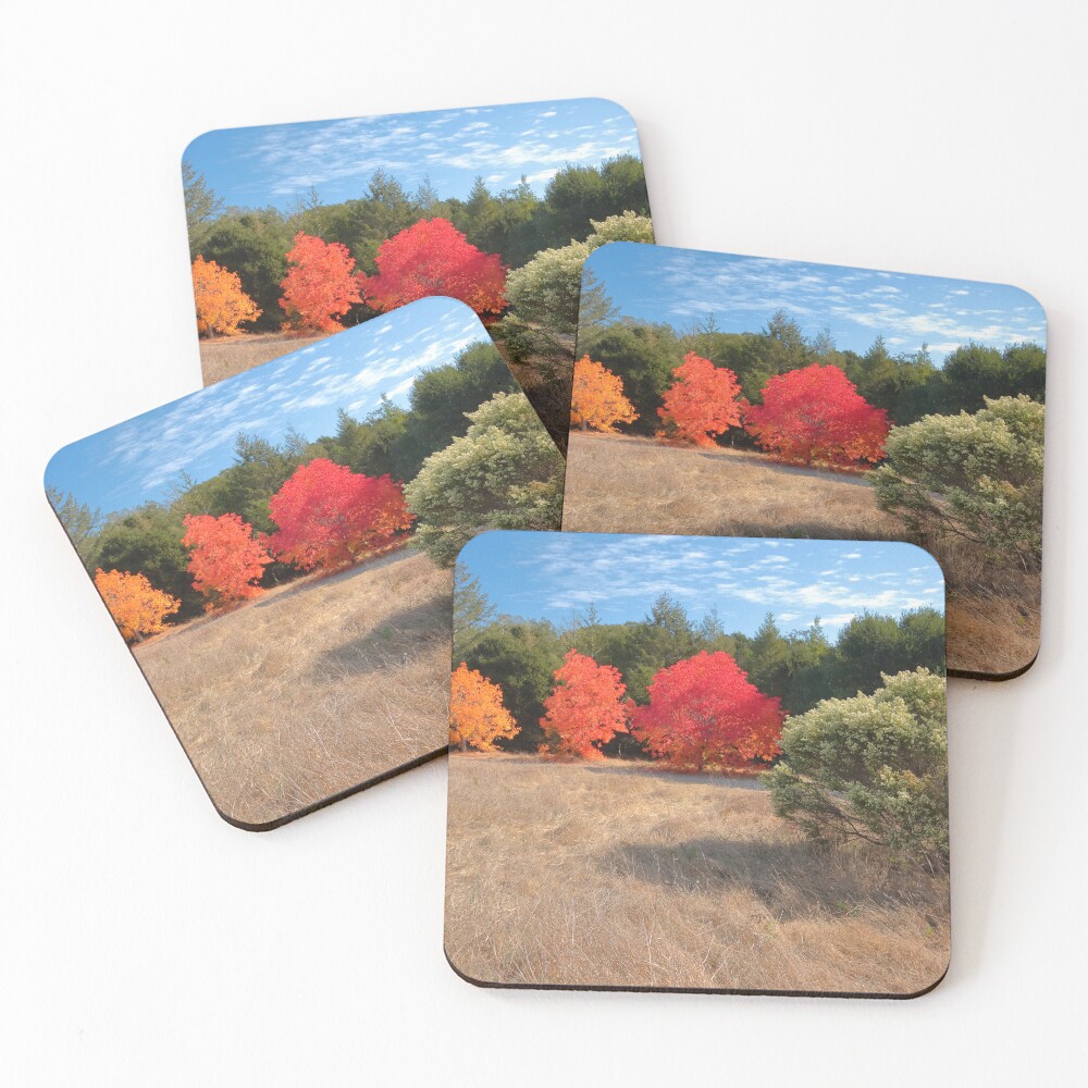 Item preview, Coasters (Set of 4) designed and sold by outdoorstudio.