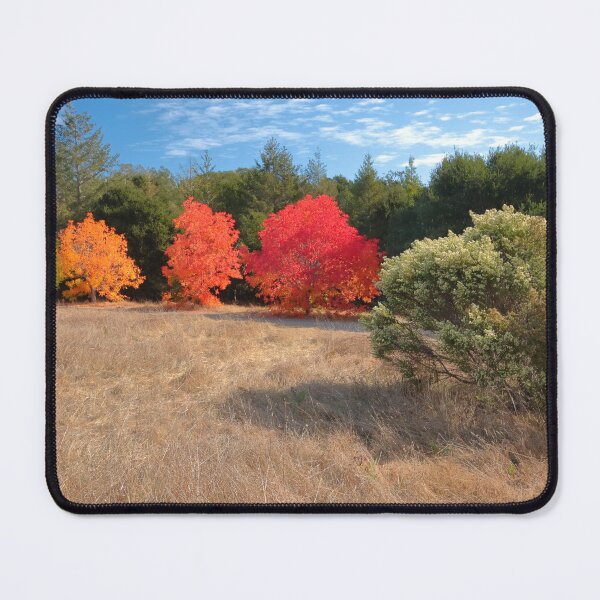 Item preview, Fall Colors at Ragle Ranch designed and sold by outdoorstudio.