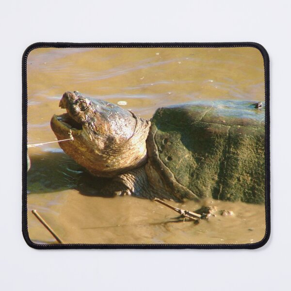 Item preview, Maryland Snapping Turtle designed and sold by Valeria Lee.