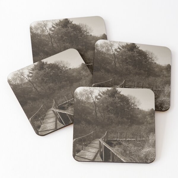 Item preview, bridge to nowhere designed and sold by vogtvisions.