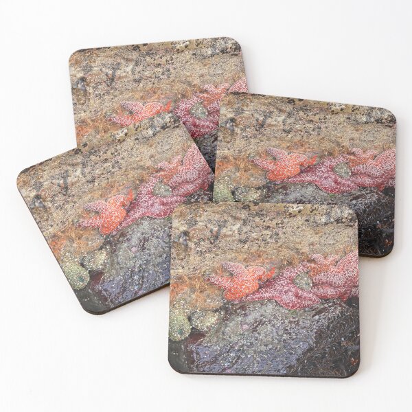 Item preview, Ochre Sea Stars designed and sold by outdoorstudio.