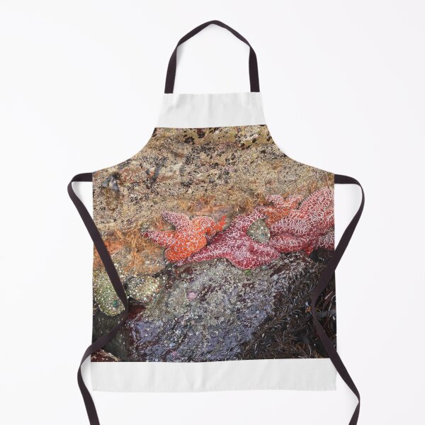 Item preview, Ochre Sea Stars designed and sold by outdoorstudio.