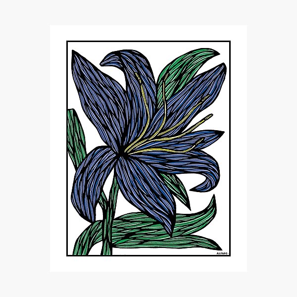 "Sapphire Serenity" Photographic Print