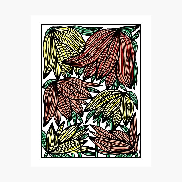 "Wild Sunset Blooms" Photographic Print