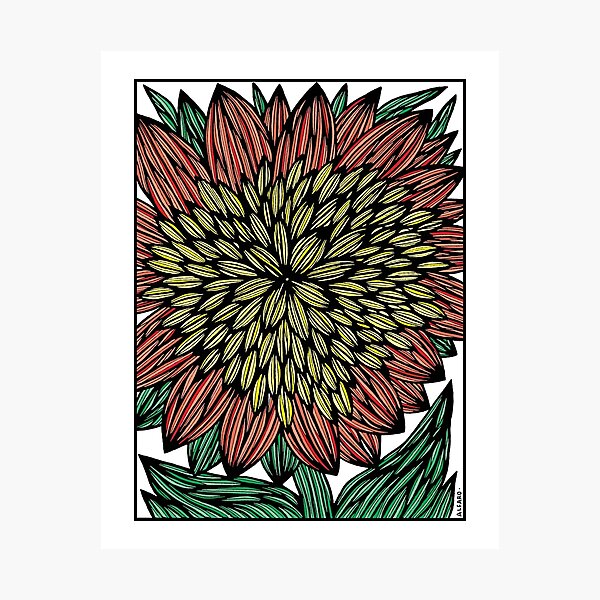 "Flameburst Blossom" Photographic Print