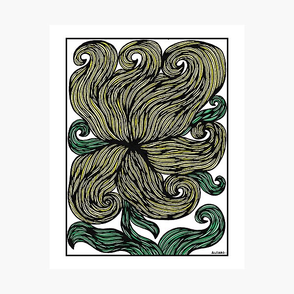 "Golden Grace" Photographic Print