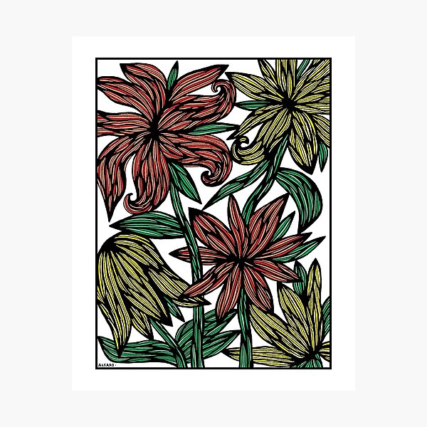 "Sunfire Blossoms" Photographic Print
