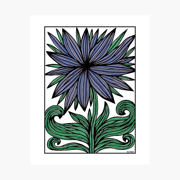 "Blue Velvet Petals" Photographic Print