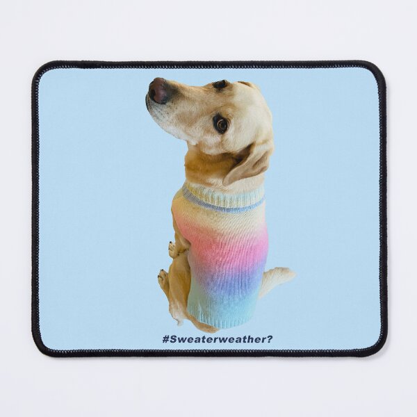Item preview, Sweaterweather - My cute dog getting cozy by wearing rainbow sweater designed and sold by RPrince1.