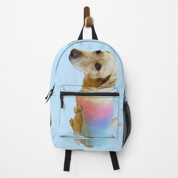 Item preview, Sweaterweather - My cute dog getting cozy by wearing rainbow sweater designed and sold by RPrince1.