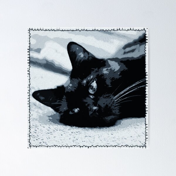 Cat Digital Art Poster