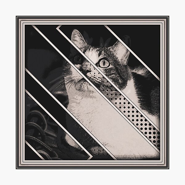 Cat Digital Art Photographic Print