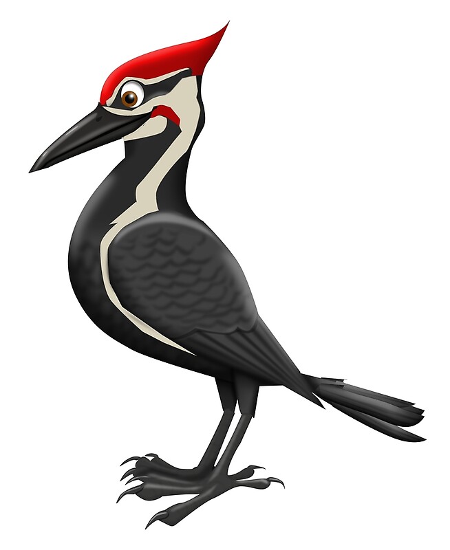 woodpeckers cartoon