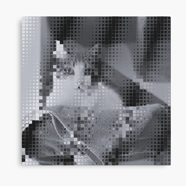 Cat Digital Art Canvas Print