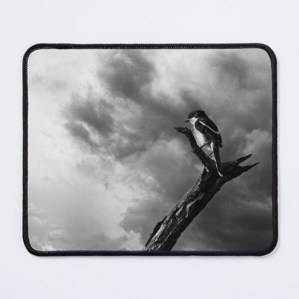 Item preview, Spellbound designed and sold by MyAfricanSafari.