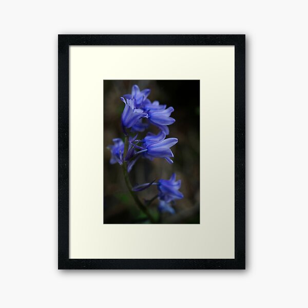 Item preview, Pretty bluebells designed and sold by Agnes McGuinness.