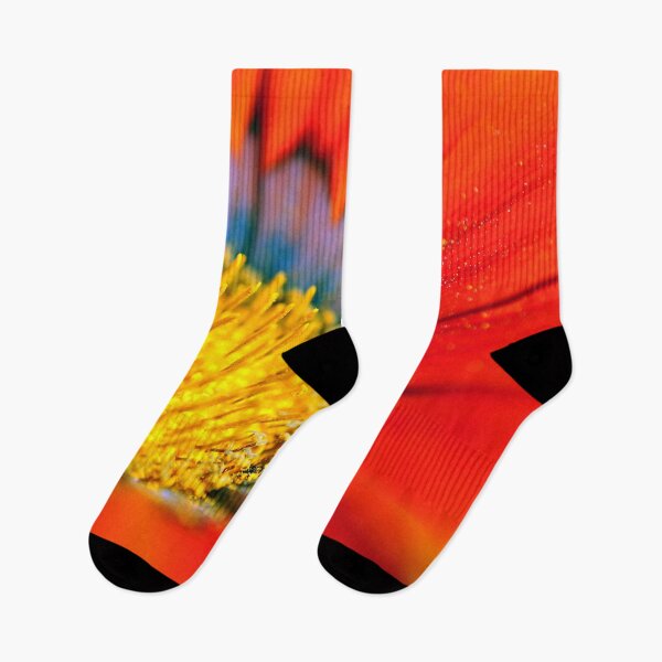 Item preview, Orange Gazania African Daisies Summer Flower designed and sold by AndyEvansPhotos.