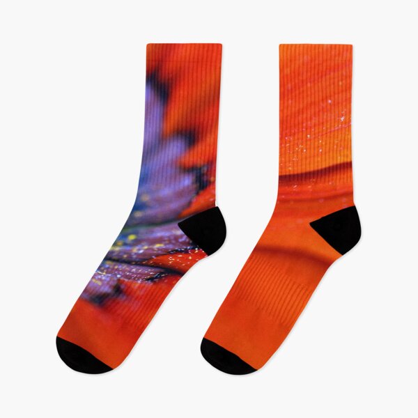 Item preview, Orange Gazania African Daisies Summer Flower designed and sold by AndyEvansPhotos.