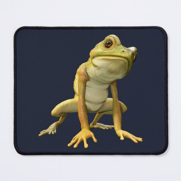 Item preview, Cartoon Frog designed and sold by Vac1.