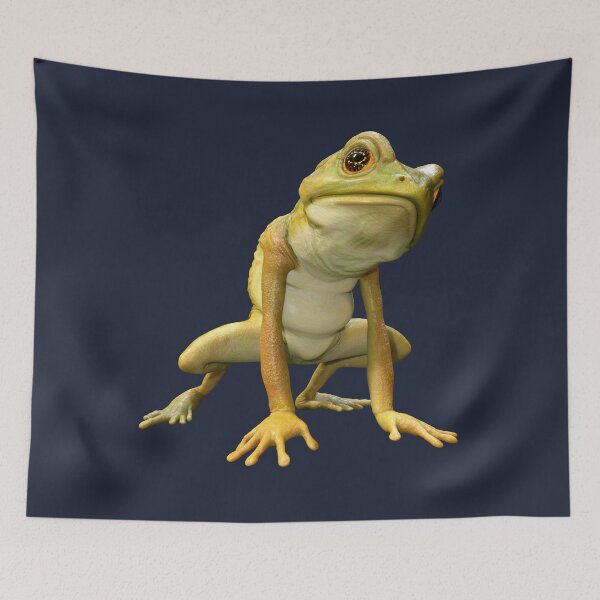 Item preview, Cartoon Frog designed and sold by Vac1.