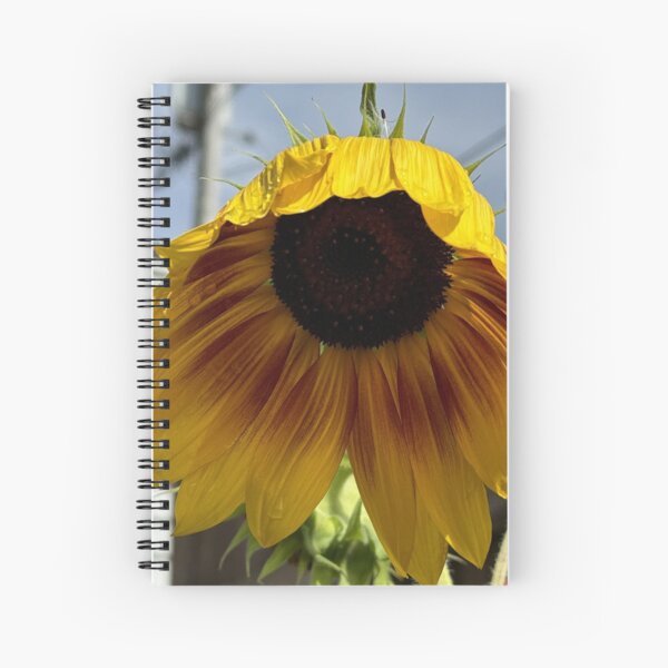 Item preview, Sunflower Blues designed and sold by deedlesmcgee.