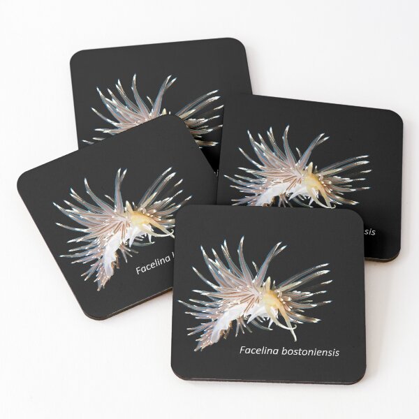 Item preview, Facelina bostoniensis - nudibranche designed and sold by Tom Sillen.