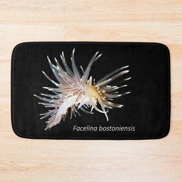 Item preview, Facelina bostoniensis - nudibranche designed and sold by Tom Sillen.