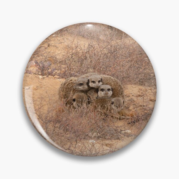 Item preview, Meerkats keeping warm together designed and sold by Photopat.